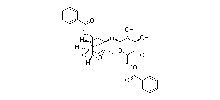 Phenolic Acids